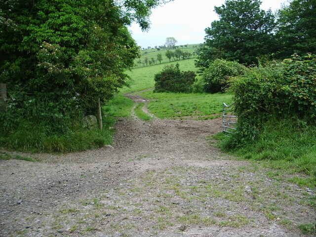 Track off the Torpenhow to Whitrigg road