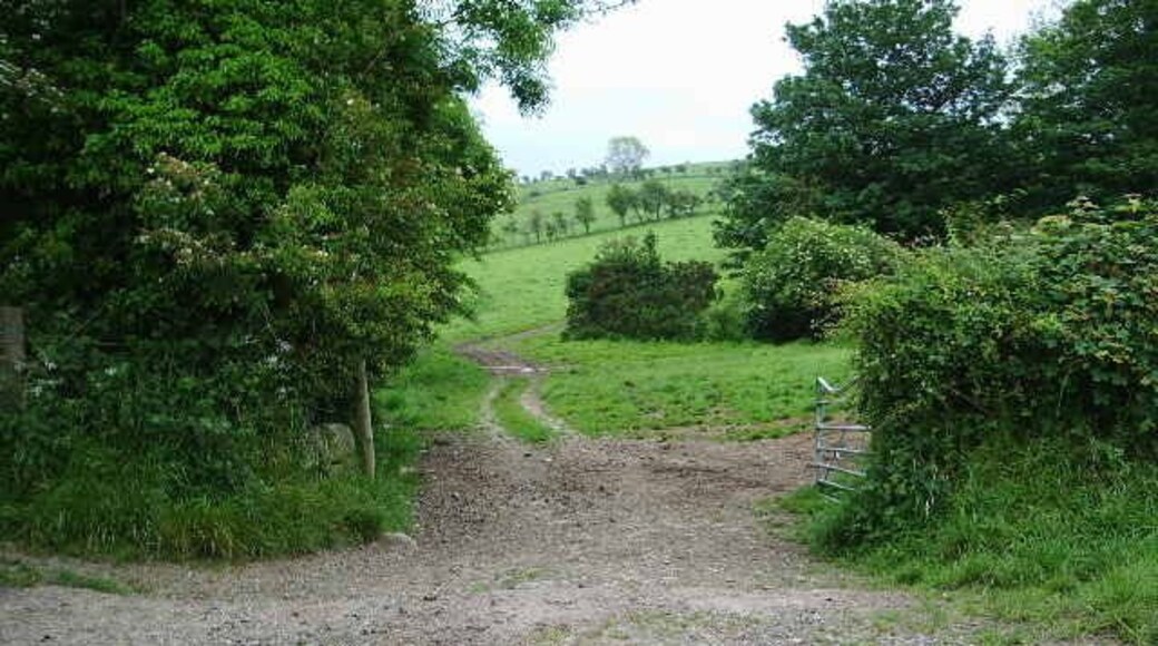 Track off the Torpenhow to Whitrigg road