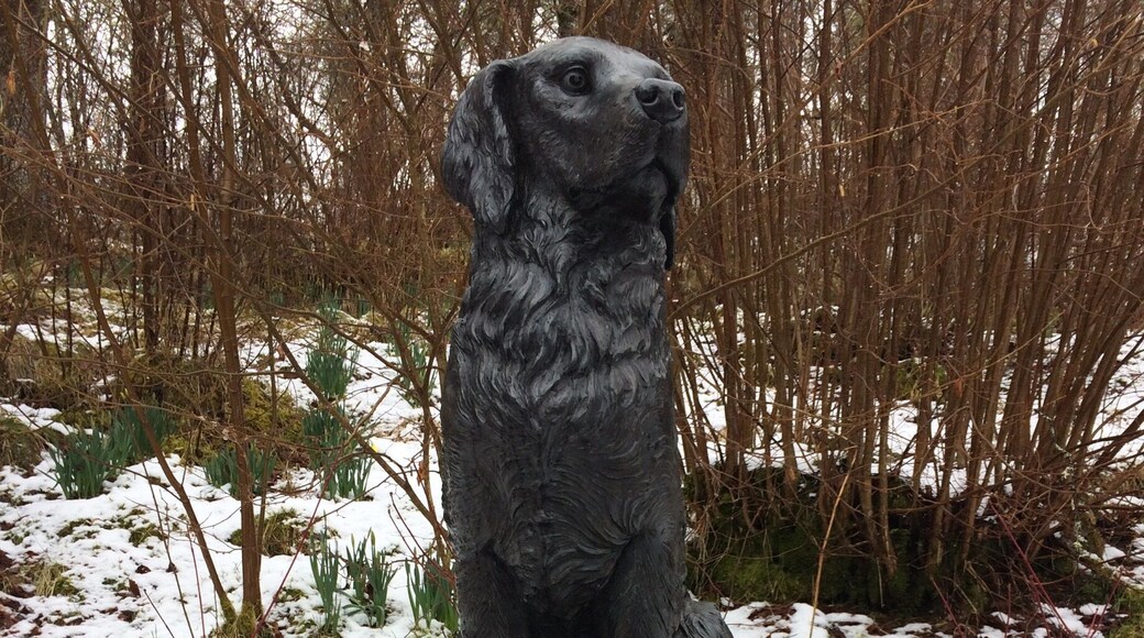 Tomich in the Highlands, Scotland. Birthplace of the Golden Retriever. First bred on Guisachan Estate by Lord Tweedmouth in 1868. Take your retriever and no doubt they’ll meet some friends!
#Goldenretriever
#Scottish