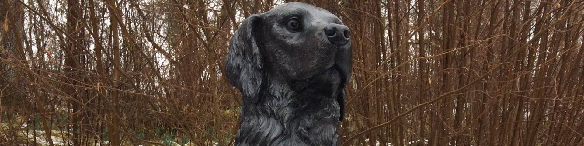 Tomich in the Highlands, Scotland. Birthplace of the Golden Retriever. First bred on Guisachan Estate by Lord Tweedmouth in 1868. Take your retriever and no doubt they’ll meet some friends!
#Goldenretriever
#Scottish