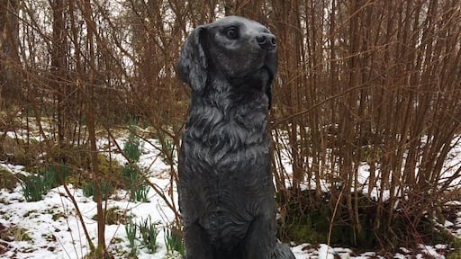 Tomich in the Highlands, Scotland. Birthplace of the Golden Retriever. First bred on Guisachan Estate by Lord Tweedmouth in 1868. Take your retriever and no doubt they’ll meet some friends!
#Goldenretriever
#Scottish