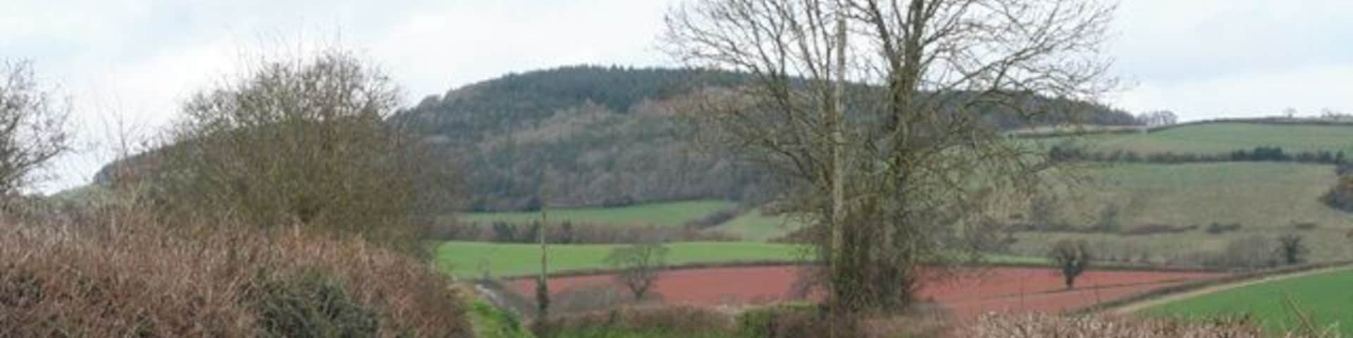 Brompton Ralph: Looking north on the B3188 Near Courtland Farm, with Willett Hill ahead