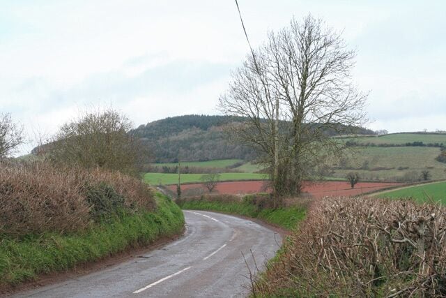 A rural road curving through a hilly landscape with fields and sparse trees.
