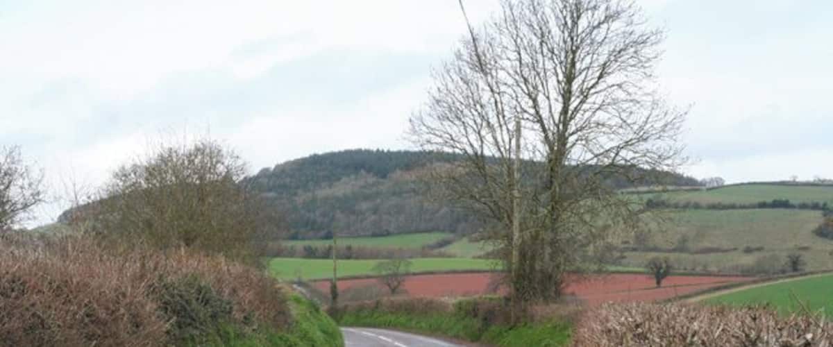 A rural road curving through a hilly landscape with fields and sparse trees.