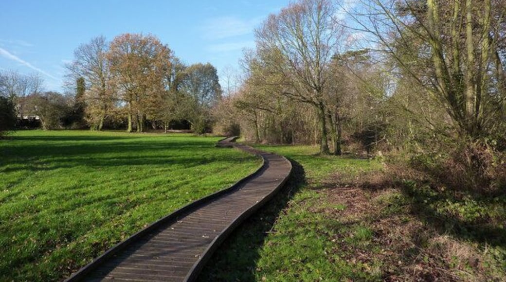 Boardwalk near Grove Lake The grassy area was wet when I visited indicating the value of the boardwalk. The 1:25,000 map shows the layout of the area much more clearly.