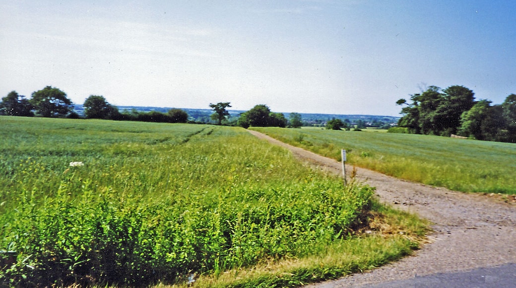 Site of former Inworth station. View NW towards Kelvedon on the course of the former Kelvedon & Tollesbury Light Railway. Inworth station had been nearer Tiptree than Inworth. The station and passenger services had been closed 7/5/51, the line closing eventually on 1/10/62.