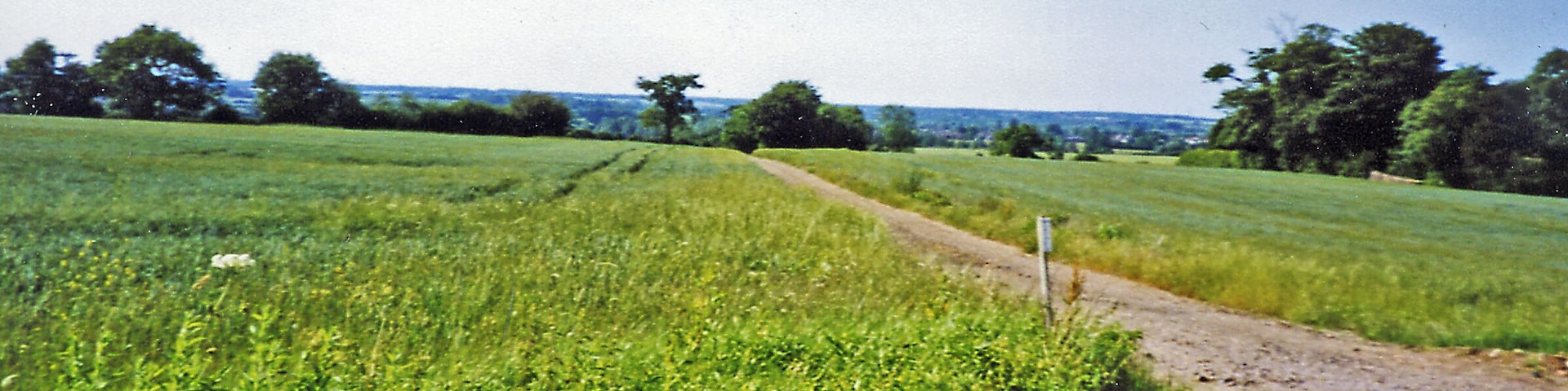 Site of former Inworth station. View NW towards Kelvedon on the course of the former Kelvedon & Tollesbury Light Railway. Inworth station had been nearer Tiptree than Inworth. The station and passenger services had been closed 7/5/51, the line closing eventually on 1/10/62.