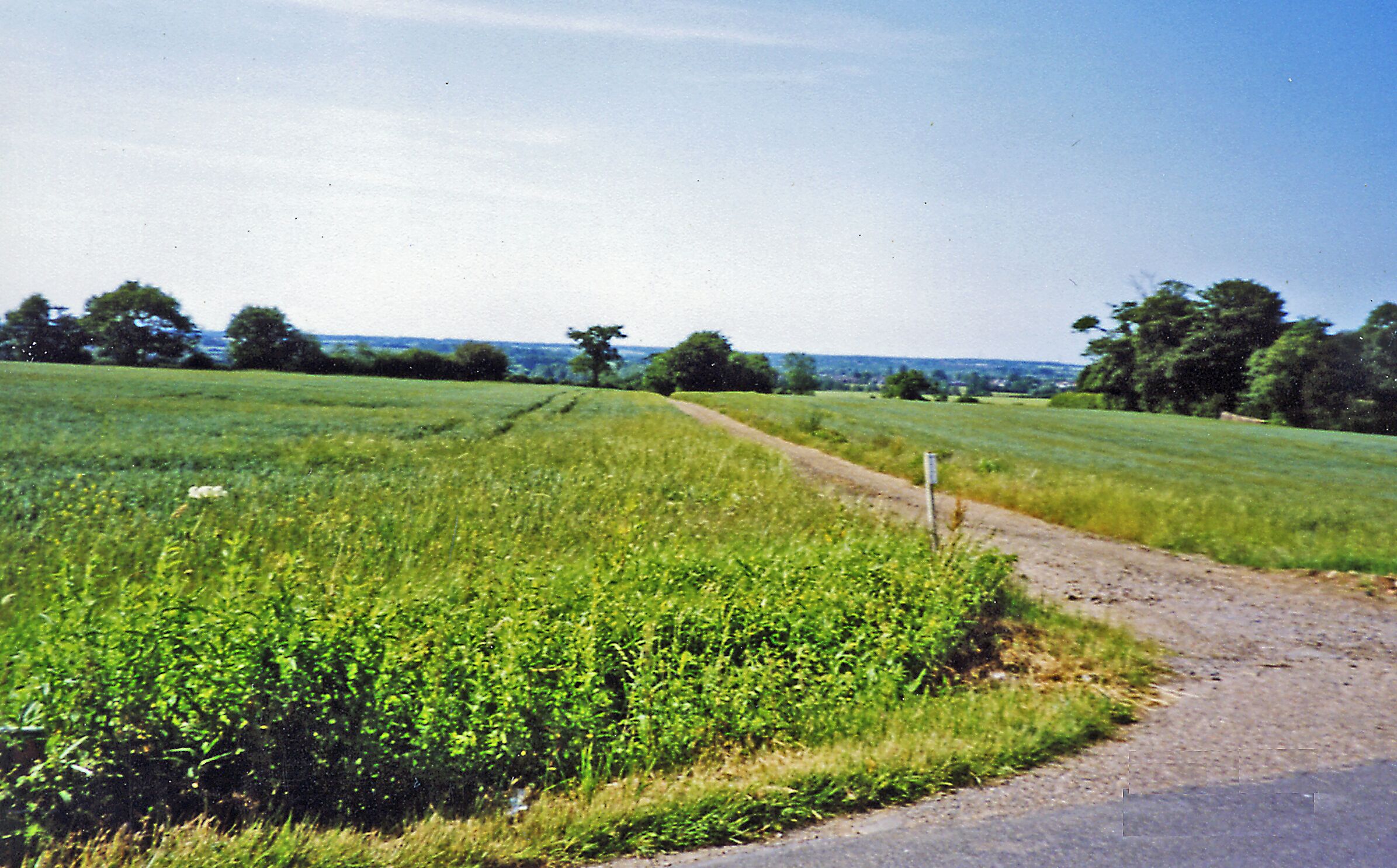 A rural landscape with a dirt path leading through a green field, surrounded by trees and open fields.