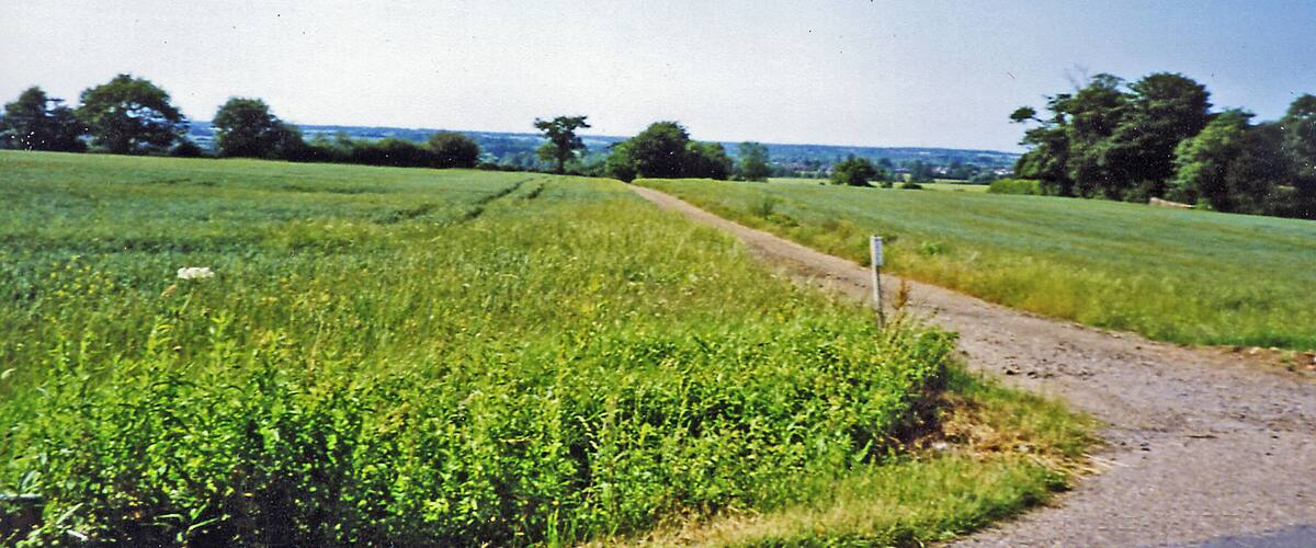 A rural landscape with a dirt path leading through a green field, surrounded by trees and open fields.