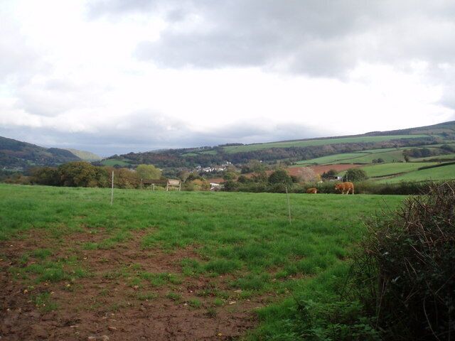 Two brown cows in a field near Burrow In the middle distance is the village of Timberscombe.