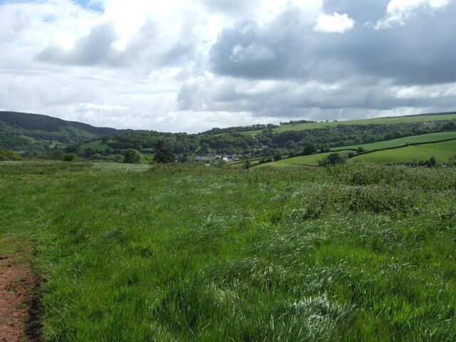 Fields near Well Farm. Lush grass in the fields near Well Farm near Burrow. The village that can be seen directly ahead in the valley is Timberscombe, the largest settlement for some miles in this very rural area.
