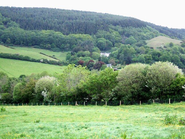 Looking towards Knowle Hill. A meadow full of buttercups bordered by a multi-species hedge and beyond that the heavily wooded hills behind which lie Minehead and the sea. This view is from opposite Totterdown Farm looking towards Knowle Hill. The white building is, I believe, Burnells.