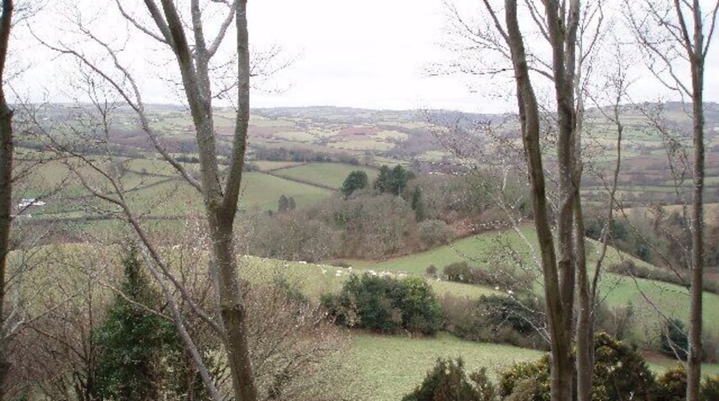 West Somerset Farmland. The tracks through the woods here mostly run along the contours allowing plenty of opportunity to appreciate the views.