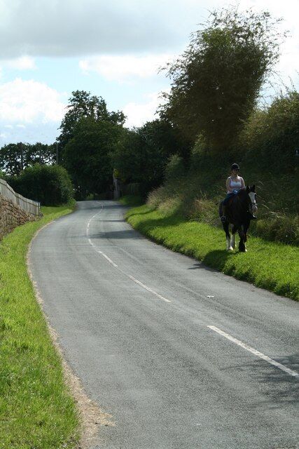 Country Lane The Horserider made this picture of a country lane.