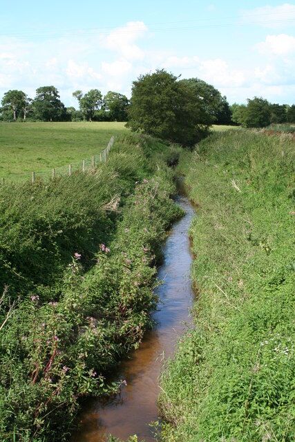 Carden Brook From the Bridge, looking toward Lower Carden.