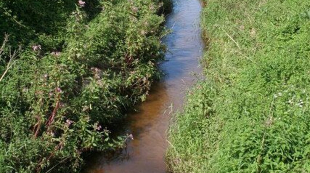 Carden Brook From the Bridge, looking toward Lower Carden.