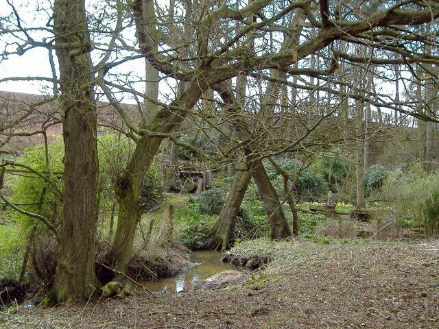 Hook's Brook. Woodland and gardens seen from footpath Carden 2, just west of the bridge across Hook's Brook (currently collapsed!) on the Tilston/Carden boundary. Typical of the scenery in the little clough valleys cut through the boulder clay on the Cheshire plain.