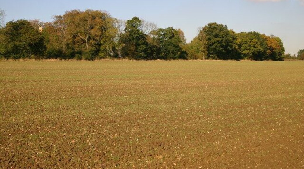 Field at the edge of Honeyhill Wood Field at the edge of Honeyhill Wood with Tilbrook Bushes Farm chimney seen between the trees
