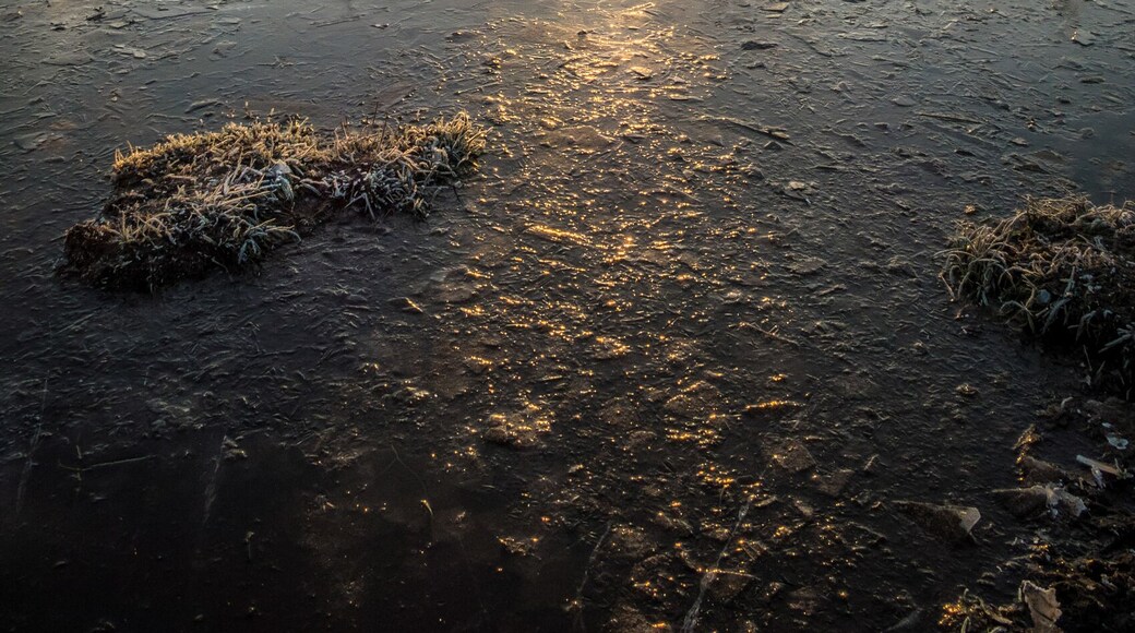 Just over from the rock itself. Just caught the sunrise popping through the the trees on a very frosty morning.