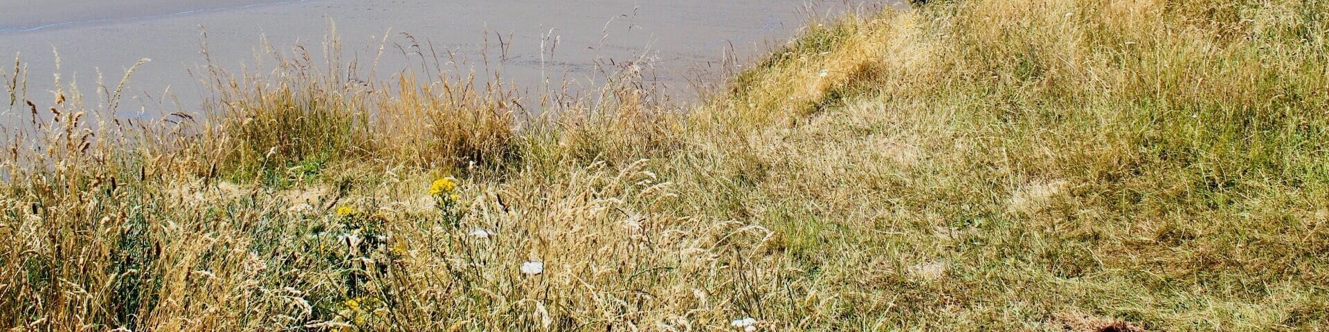 Beauty of the outdoors in England #beach #countrypark #walk #beautifulviews #outfoors #freshair #riverdee