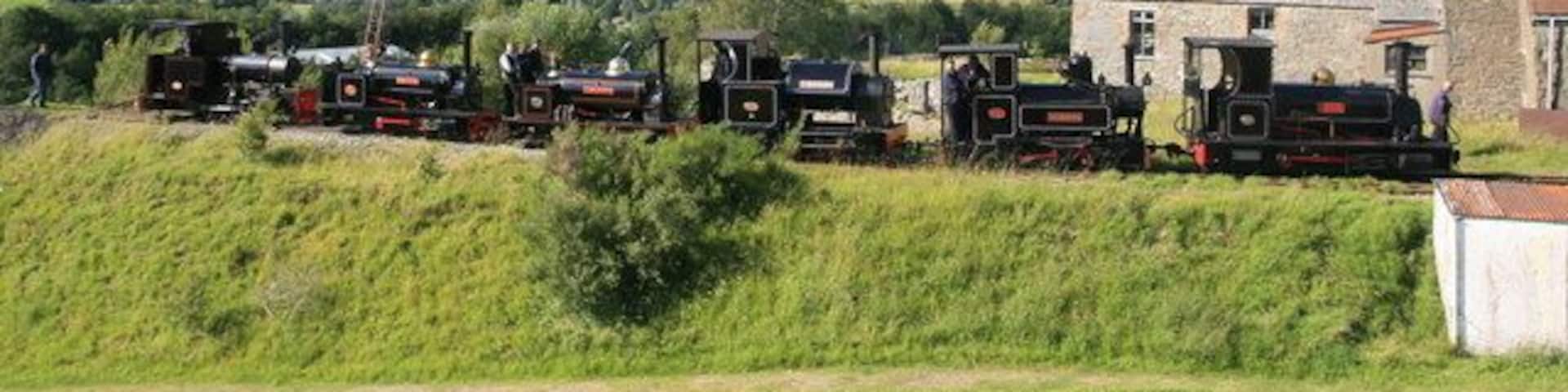 Threlkeld Quarry & Mining Museum - six visiting locomotives. The six visiting locomotives for the steam gala were all lined up in the sun at the end of the day. From left to right these are: Hudswell, Clarke No. 1238 of 1916. From Apedale Valley Light Railway. Sybil Mary - Hunslet 0-4-0ST No. 921 of 1906. From Statfold Barn Railway. Hugh Napier - Hunslet 0-4-0ST No. 855 0f 1904. From the Ffestinog Railway. Stanhope - Kerr Stuart 0-4-2ST narrow gauge locomotive of the Tattoo class. From the Apedale Valley Light Railway. Marchlyn - Avonside 0-6-0 No. 2067, 1933. From the Statfold Barn Railway. Lilla - Hunslet 0-4-0ST No. 554, 1891. From the Ffestiniog Railway.