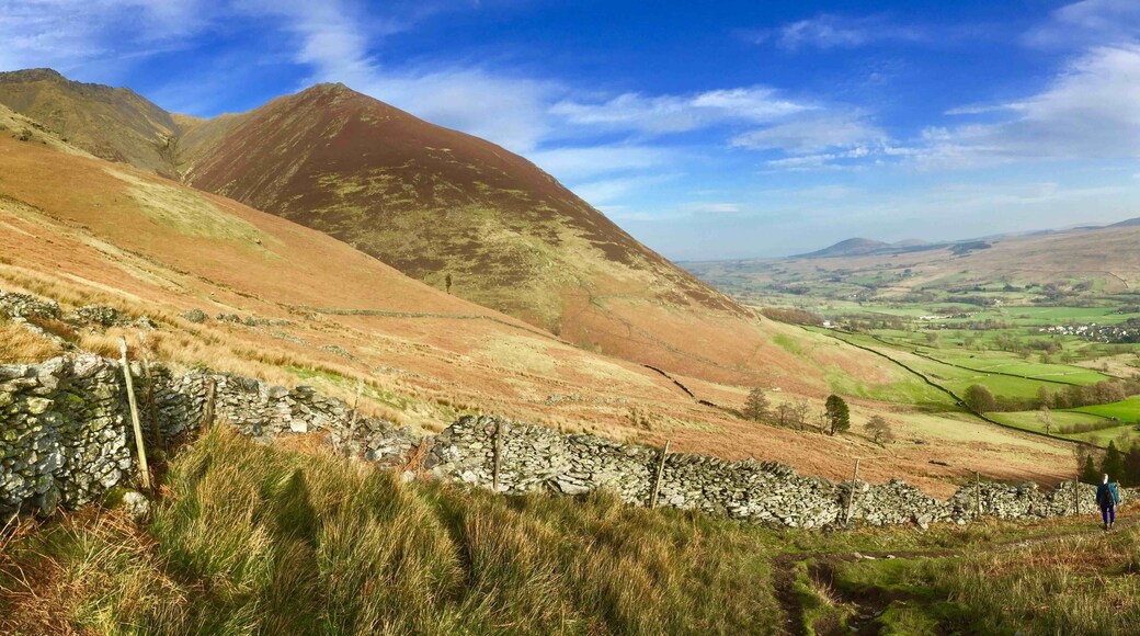 One of the lower buttresses of the mountain