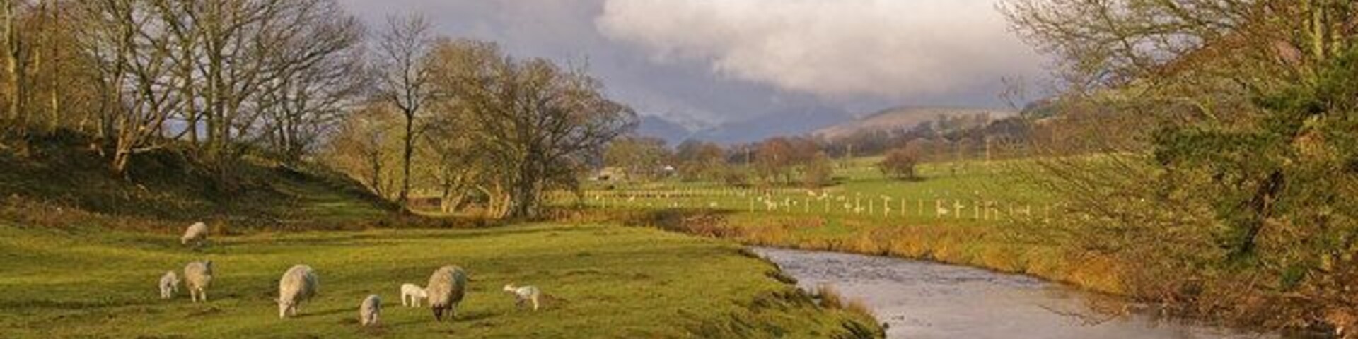 Un río serpentea por un campo cubierto de hierba, donde ovejas pastan, rodeado de árboles y colinas.