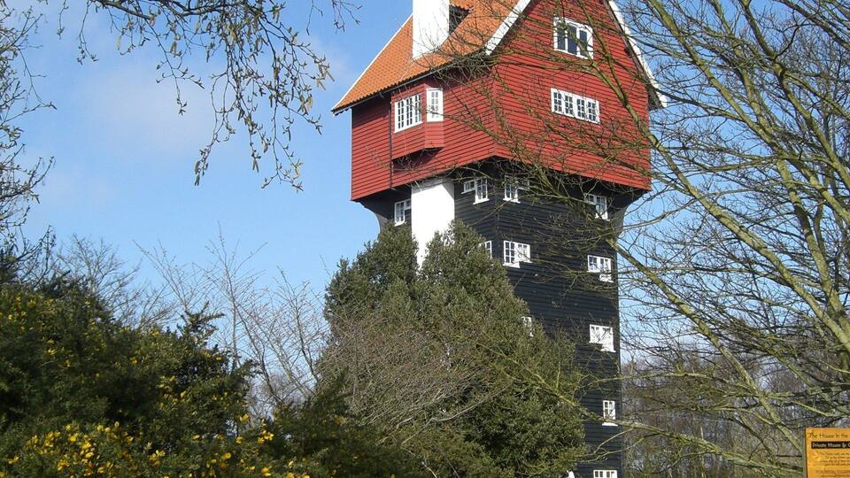 A tall, red-roofed house with white trim, surrounded by trees and yellow flowers.
