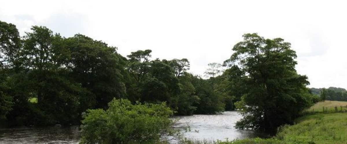 A river flowing through a green landscape with trees and grass.