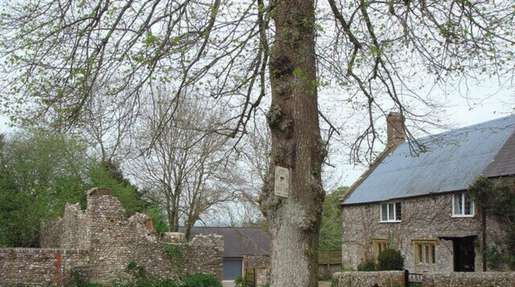 Holditch Manor Farm and ruined church The farm house is on the right, and the ruined church is on the left. The church was destroyed by fire in the 1920s