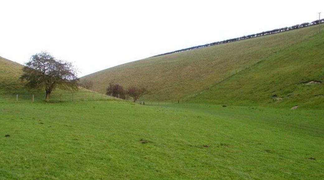Brubber Dale, Fridaythorpe, East Riding of Yorkshire, England. One of many 'dry' dales in this part of the Yorkshire Wolds.