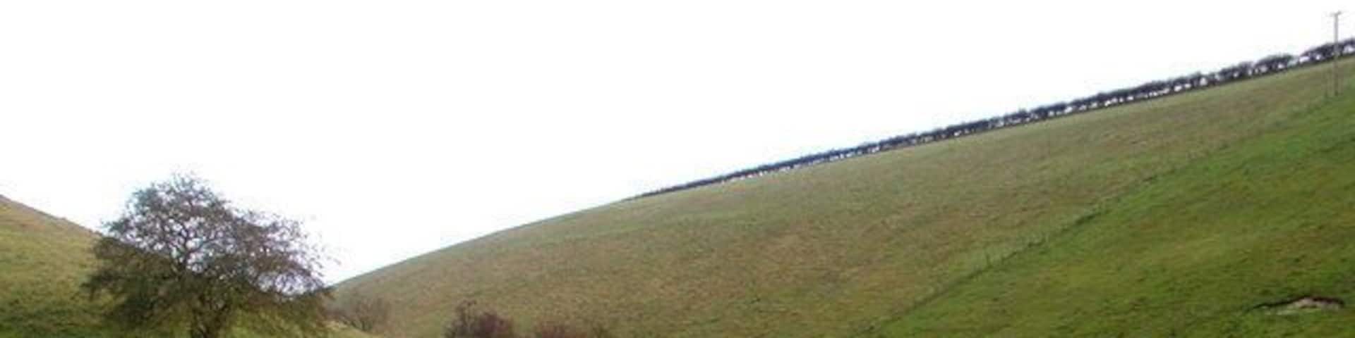 Brubber Dale, Fridaythorpe, East Riding of Yorkshire, England. One of many 'dry' dales in this part of the Yorkshire Wolds.