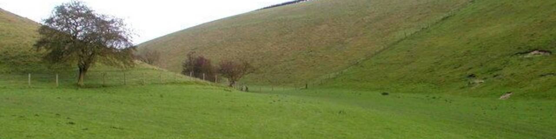 Brubber Dale, Fridaythorpe, East Riding of Yorkshire, England. One of many 'dry' dales in this part of the Yorkshire Wolds.