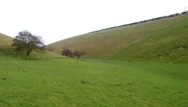 A green hillside with a fence, a tree, and a distant road.