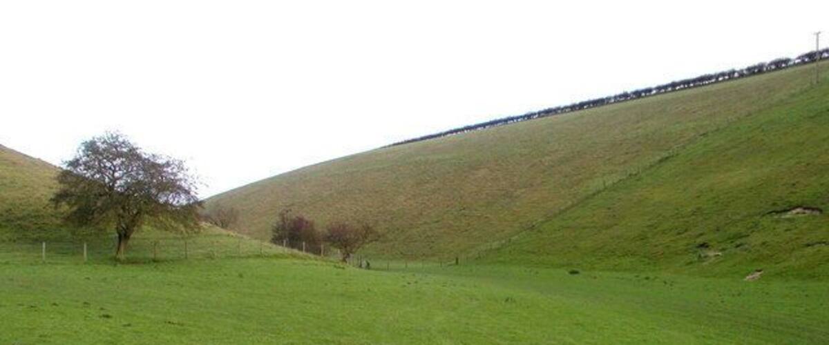 A green hillside with a fence, a tree, and a distant road.