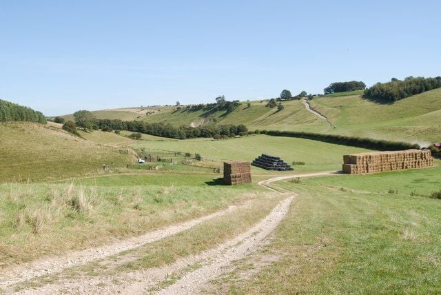 Pasture land near Thixendale
