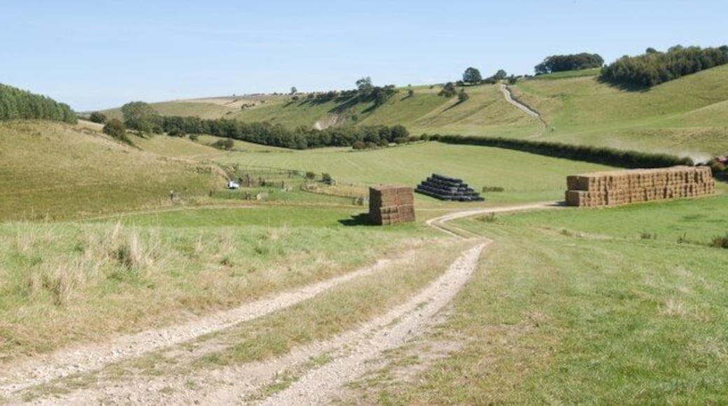 Pasture land near Thixendale