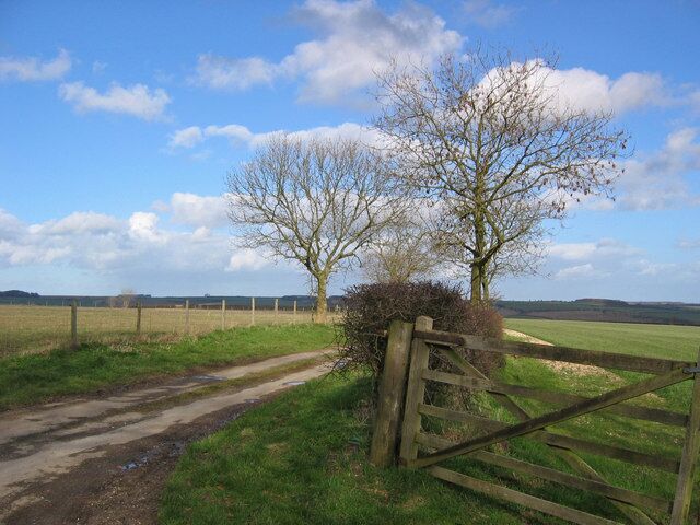 To Paradise Cottages The lane seen here heads to the cottages in the adjacent grid square.