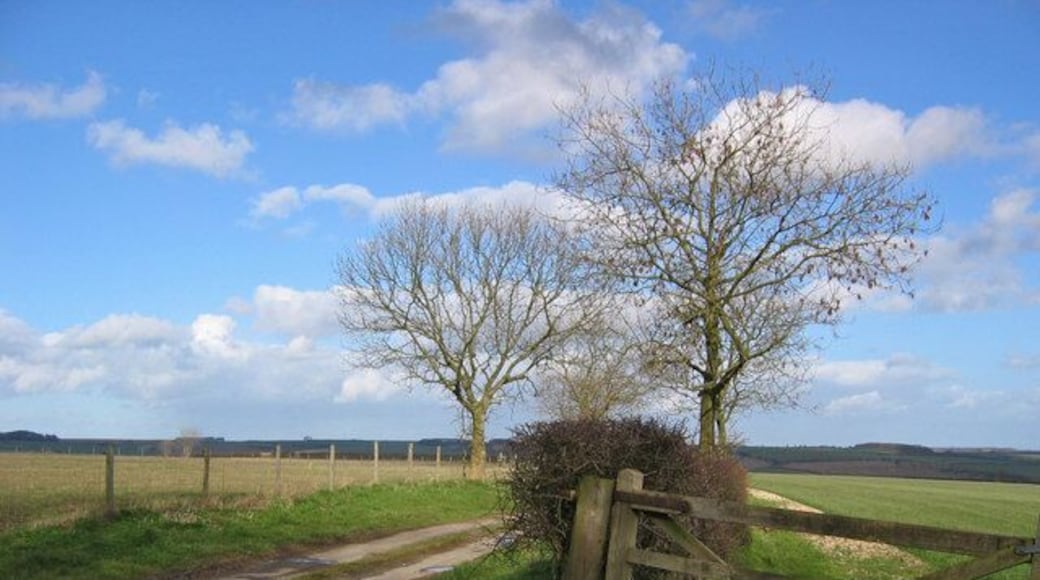 To Paradise Cottages The lane seen here heads to the cottages in the adjacent grid square.
