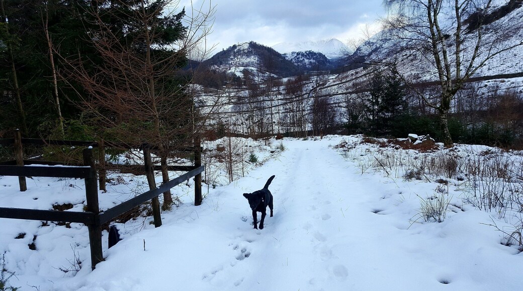 Parked at Swirls Car Park and walked the Squirrel Trail which has nice views above Thirlmere and you might be lucky enough to spot a red squirrel. :)
