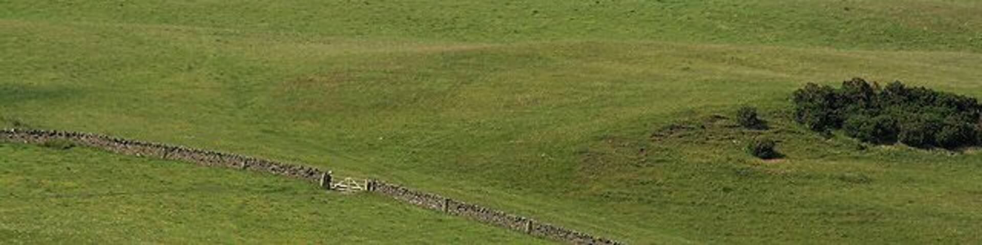 The Henry Scott Riddell Monument. It had been an overcast day but while travelling on the A7 towards Hawick, the sun came out for a few minutes and highlighted the monument on Dryden Knowes at Teviothead, against a heavy sky. The 13m high cairn was erected in 1874 in memory of the poet Henry Scott Riddell. For a closer view of the monument and inscription details, see 378497.