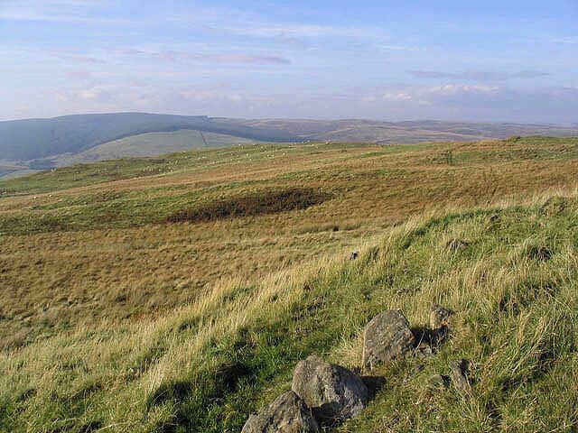 Far Height The northwest side of Far Height in Teviotdale is an area of rough grazing for hill cattle and sheep.