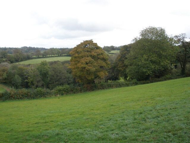 Wooded valley, near Camp Hill