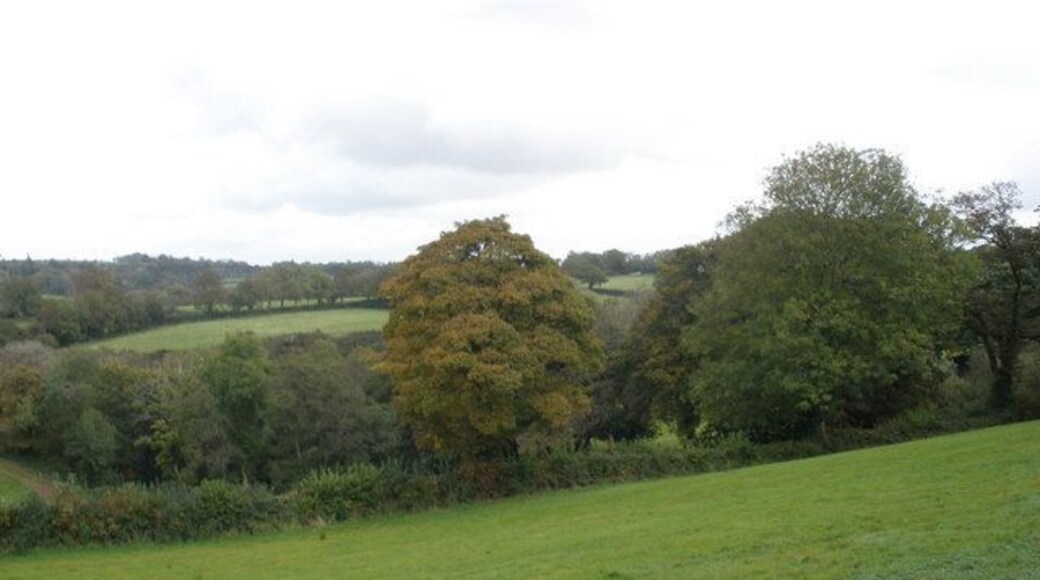 Wooded valley, near Camp Hill