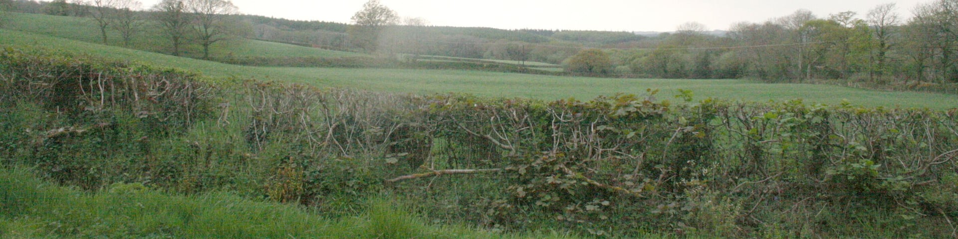 View from the road from Narberth to Molleston Cross
