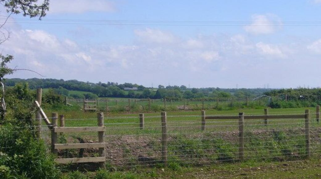 Narrow fields. There is a curious set of five long narrow fields at this point http://getamap.ordnancesurvey.co.uk/getamap/frames.htm?mapAction=gaz&gazName=g&gazString=SN111124 . The hedge banks are fenced to allow them to regrow following the laying of a 471697.