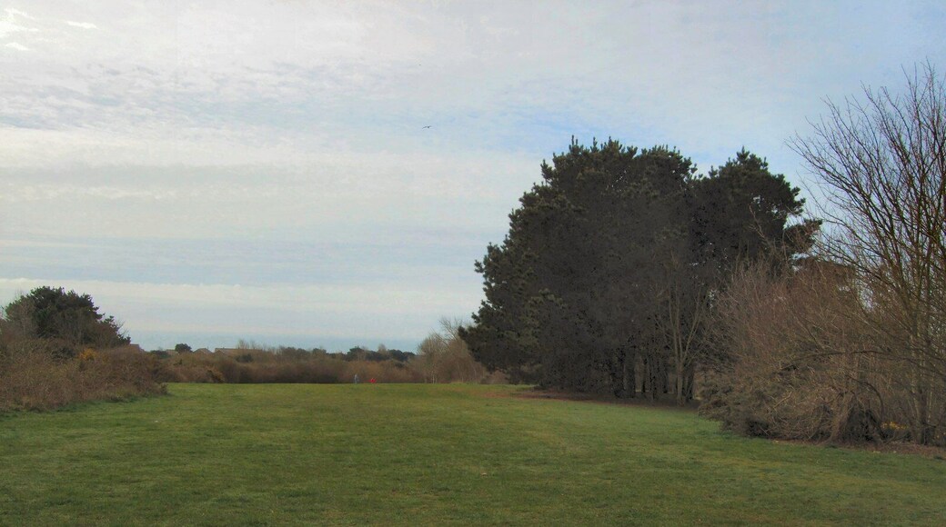 Chatsworth Park - viewed from North
