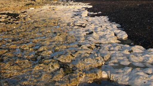 Peacehaven Cliffs The sea defences end just out of shot to the right and there are no more until those protecting Portobello Pumping Station.