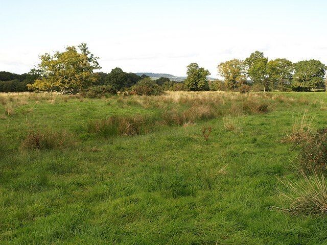 Meadows, Teigngrace Taken from the Templar Way as it follows Teigngrace Footpath 4 across the River Teign floodplain from the river to Teigngrace village. The floodplain is dotted with trees, ponds and drains, and some parts are cultivated, but not this area.