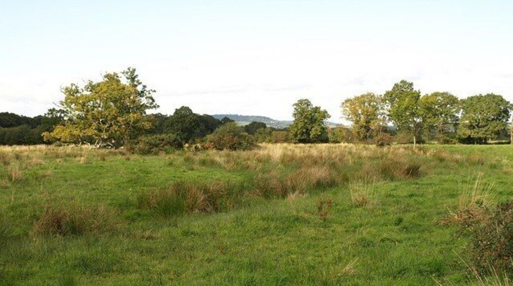 Meadows, Teigngrace Taken from the Templar Way as it follows Teigngrace Footpath 4 across the River Teign floodplain from the river to Teigngrace village. The floodplain is dotted with trees, ponds and drains, and some parts are cultivated, but not this area.